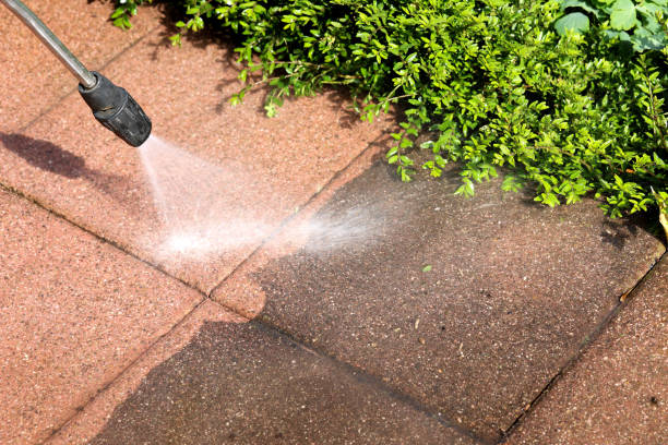 Best Best Pressure Washing Companies  in Pleasant Grove, UT